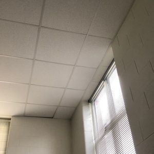 Meet your Posher, Dannie